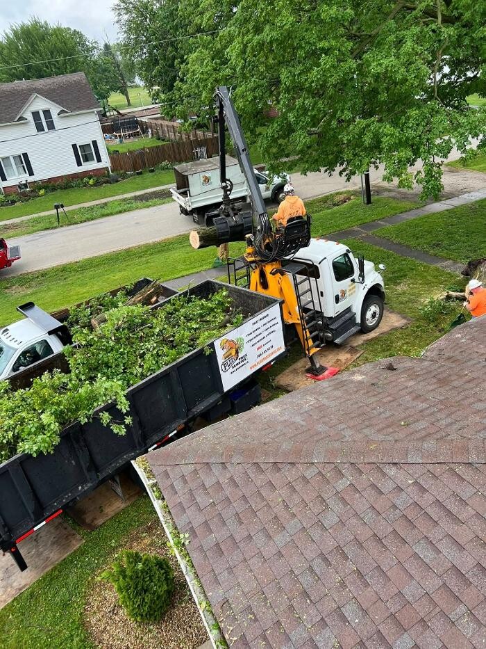 Images Plue's Tree Service