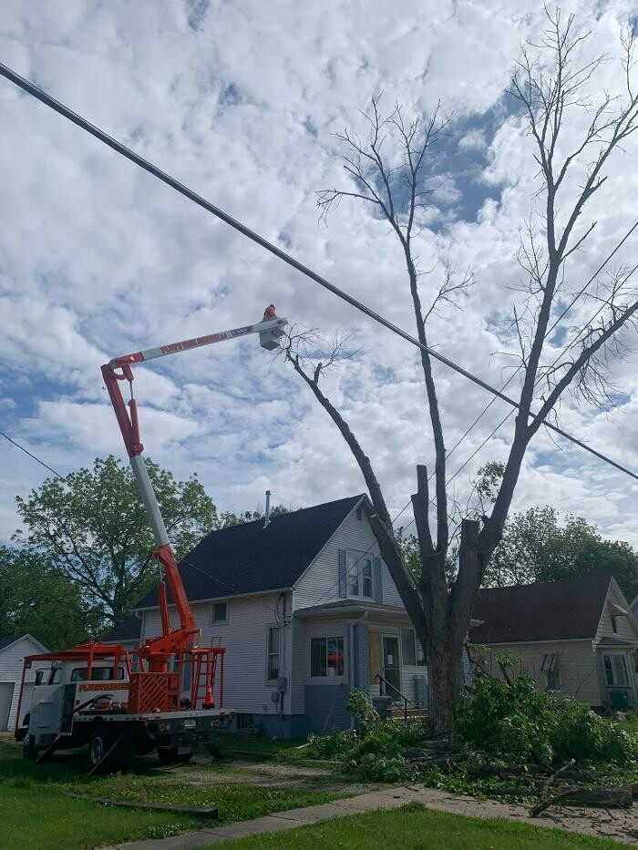 Images Plue's Tree Service
