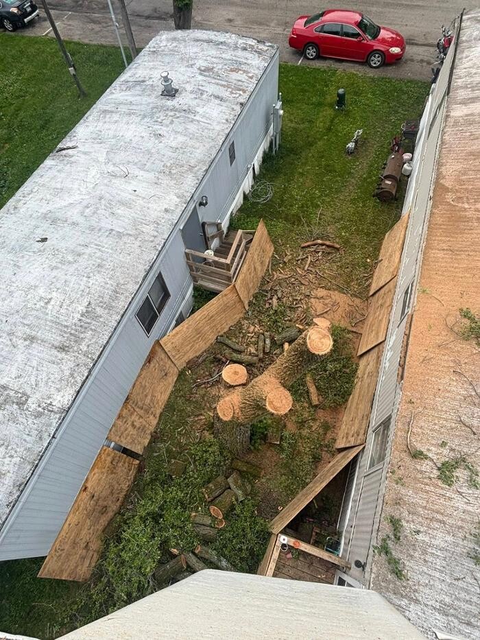 Images Plue's Tree Service