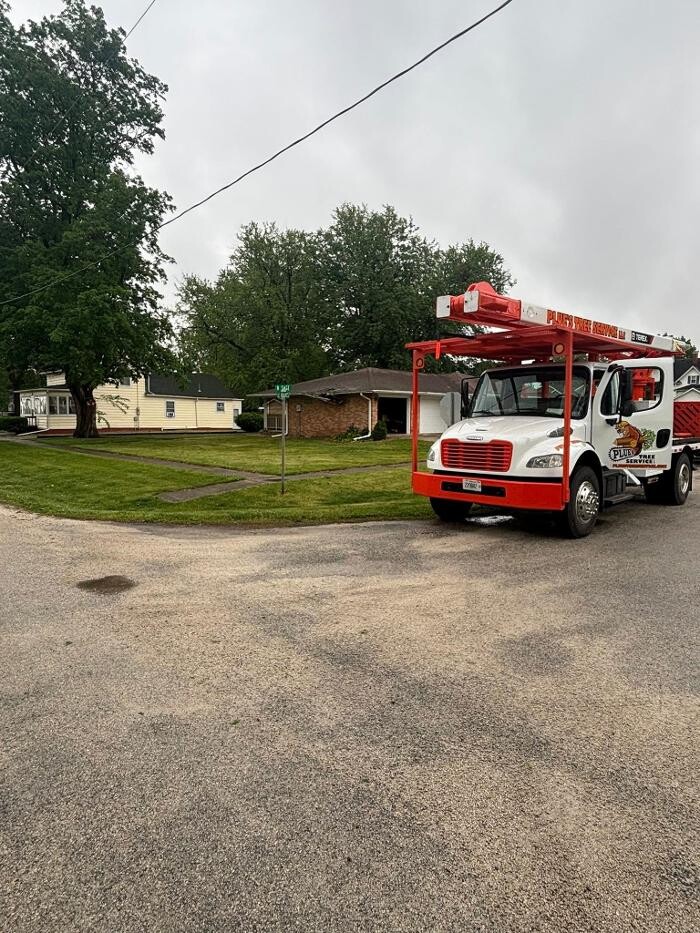 Images Plue's Tree Service