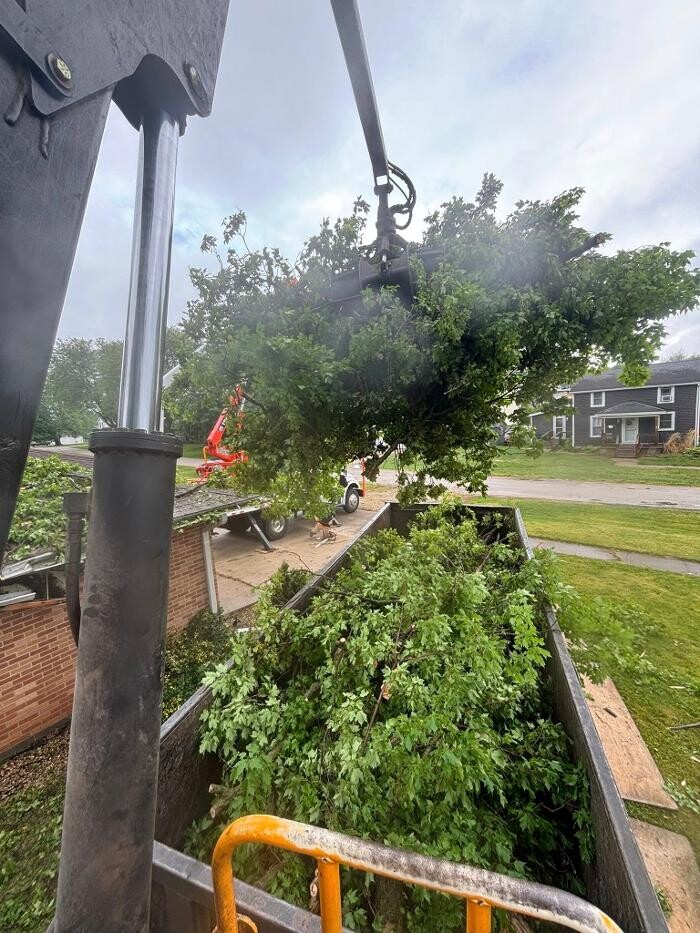 Images Plue's Tree Service