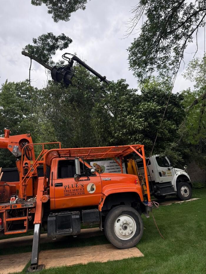Images Plue's Tree Service