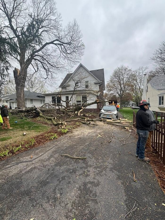 Images Plue's Tree Service