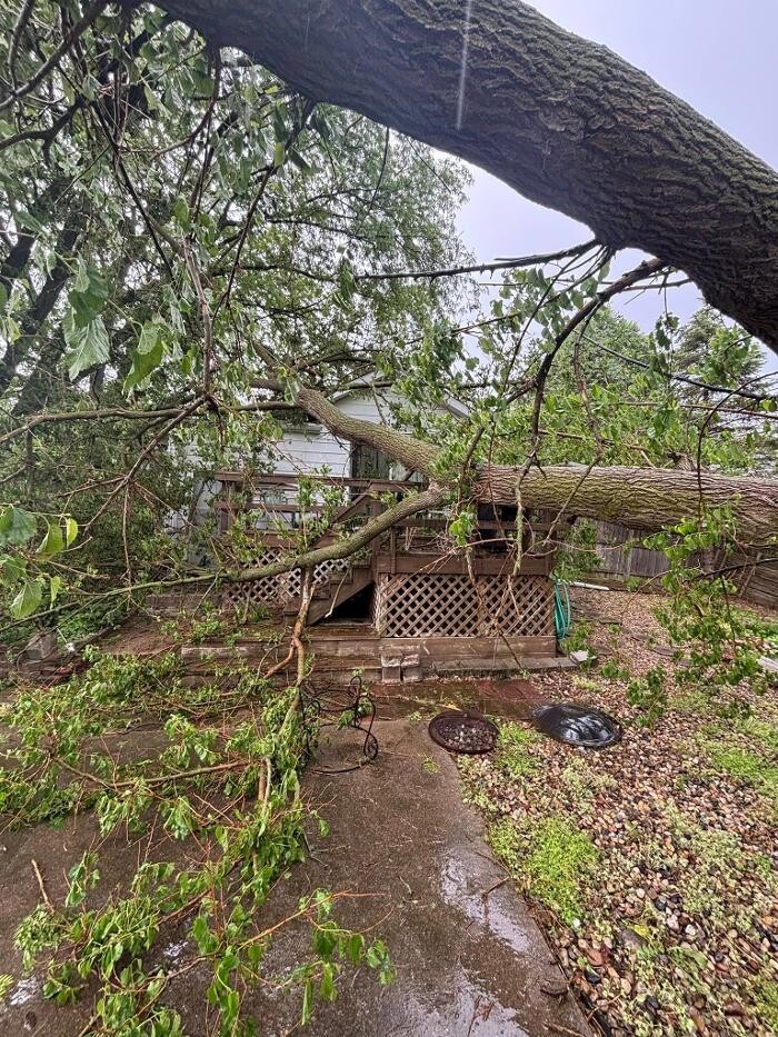 Images Plue's Tree Service