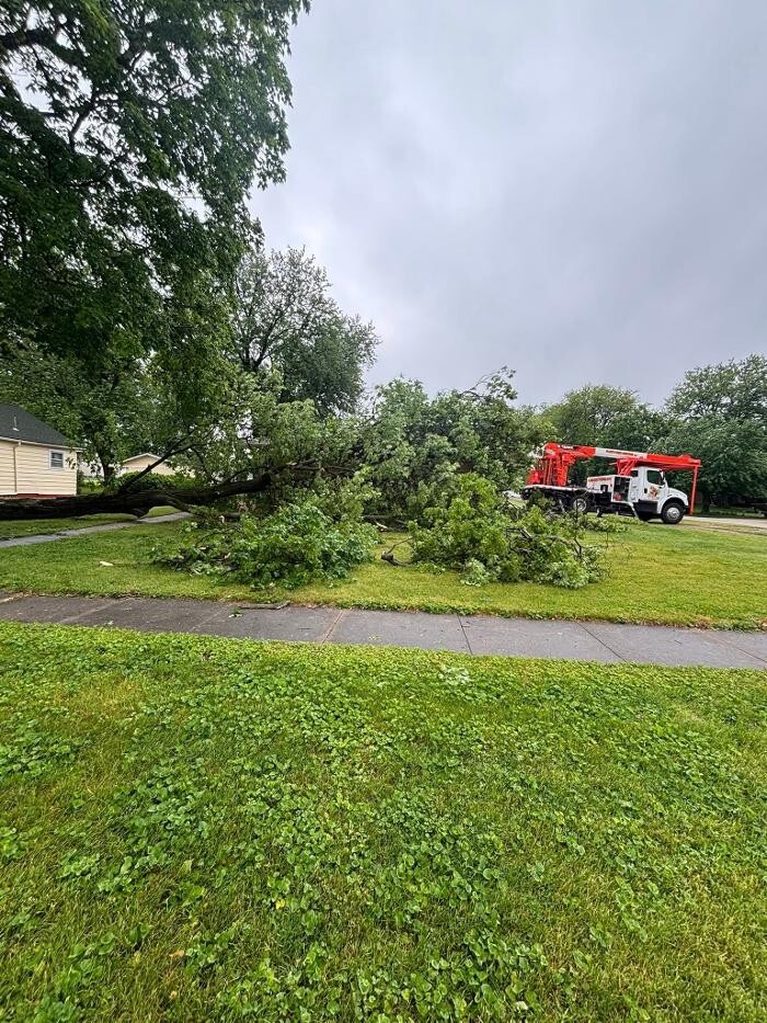 Images Plue's Tree Service