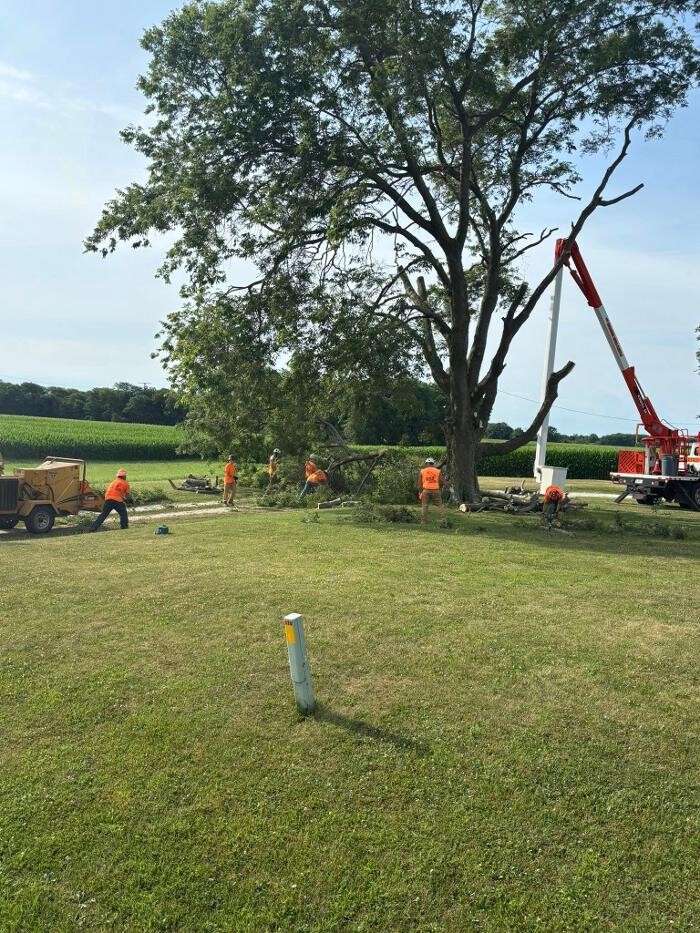 Images Plue's Tree Service