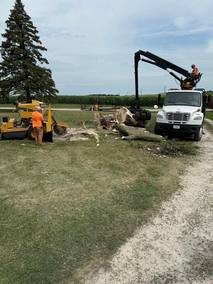 Images Plue's Tree Service