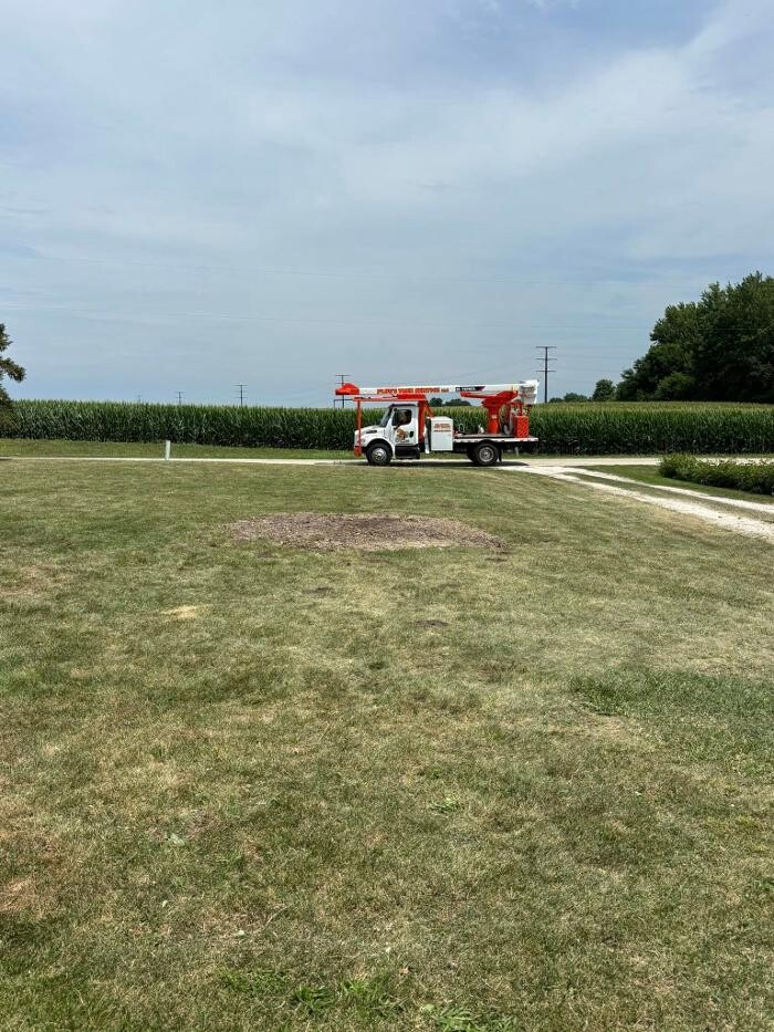 Images Plue's Tree Service