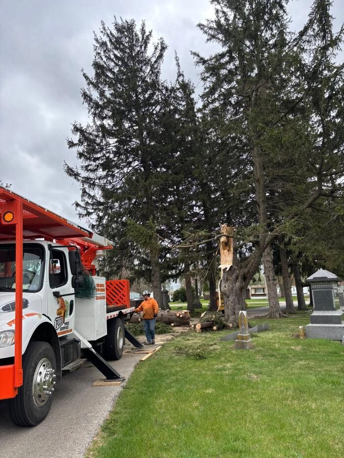 Images Plue's Tree Service