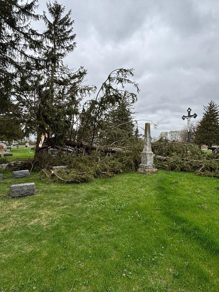 Images Plue's Tree Service