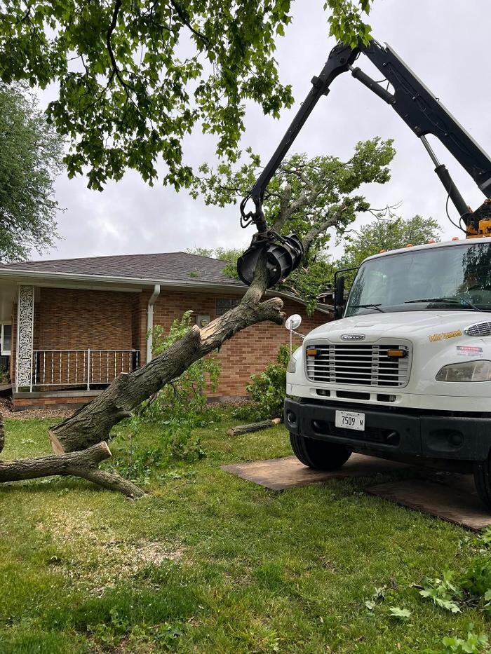 Images Plue's Tree Service