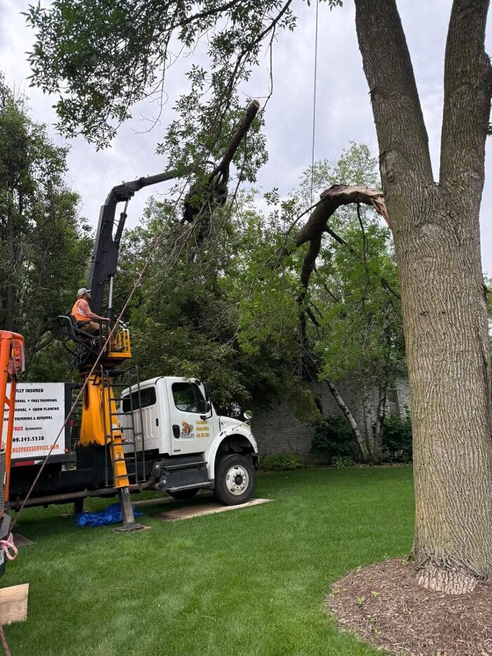 Images Plue's Tree Service