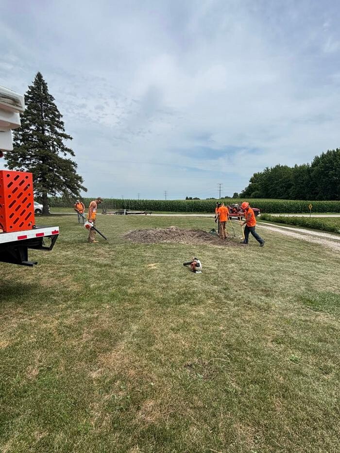 Images Plue's Tree Service