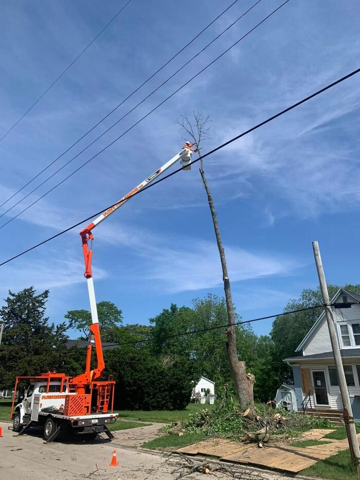 Images Plue's Tree Service