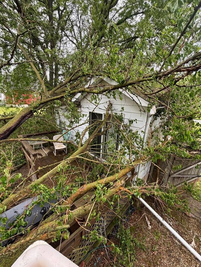 Images Plue's Tree Service