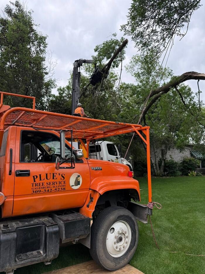 Images Plue's Tree Service