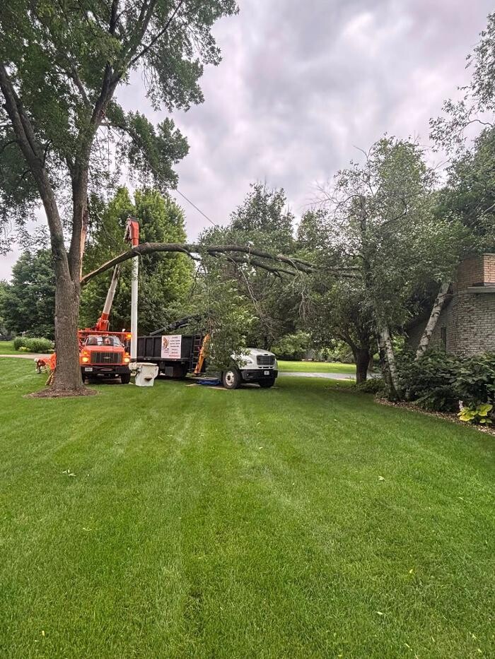 Images Plue's Tree Service