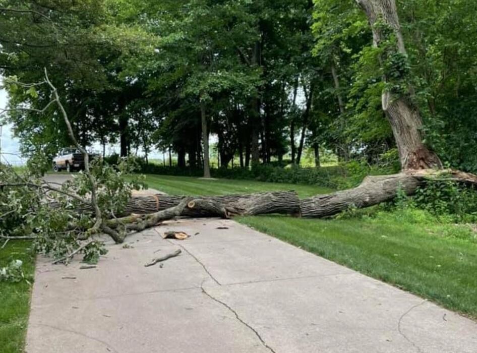 Images Plue's Tree Service