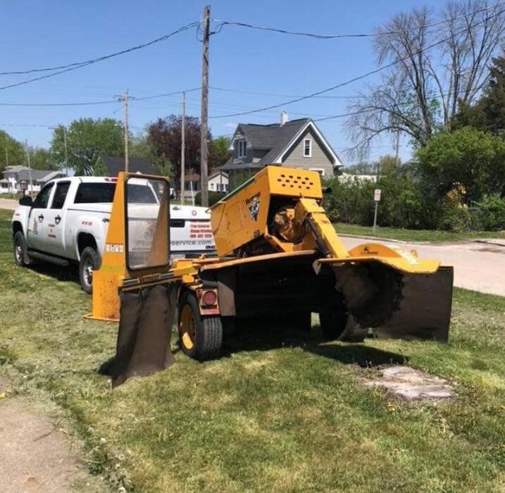 Images Plue's Tree Service