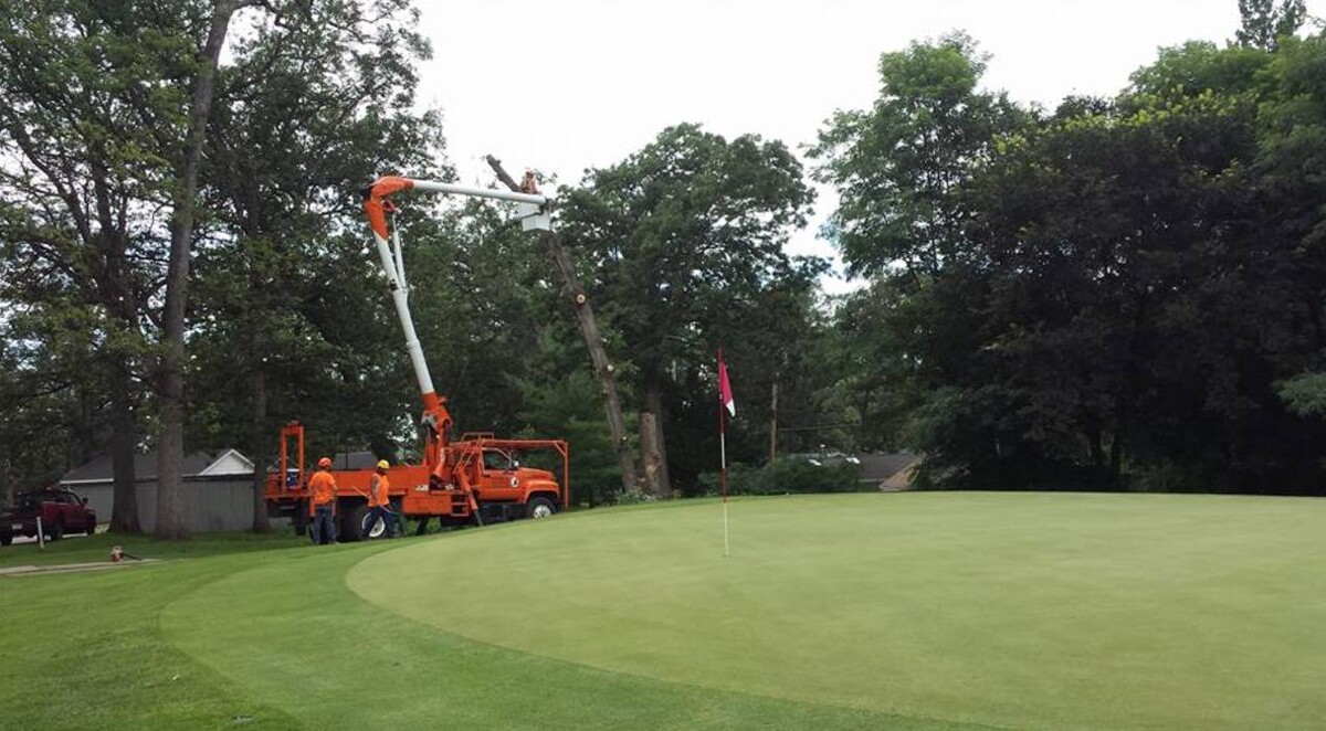 Images Plue's Tree Service