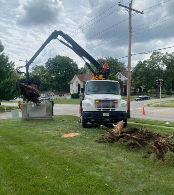 Images Plue's Tree Service