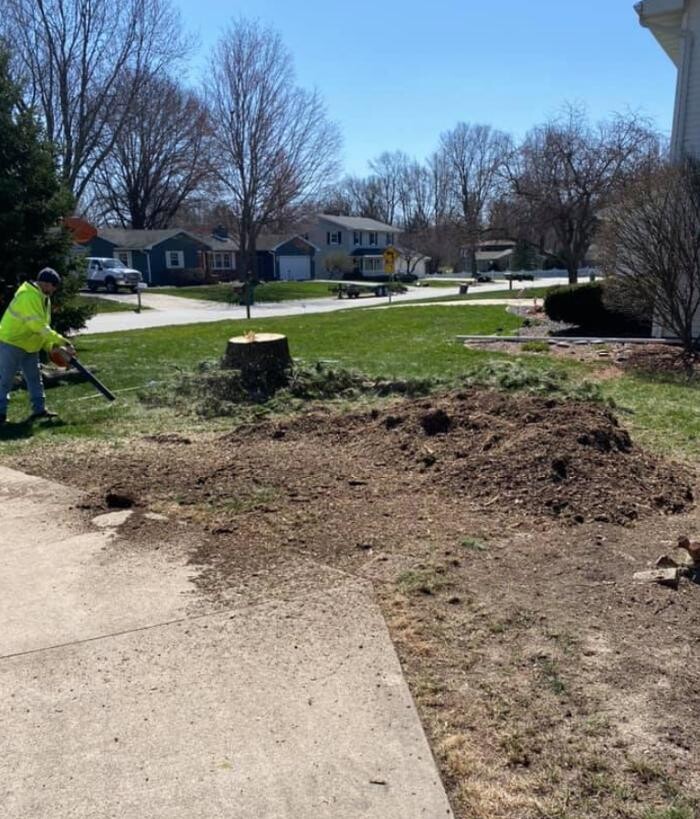 Images Plue's Tree Service