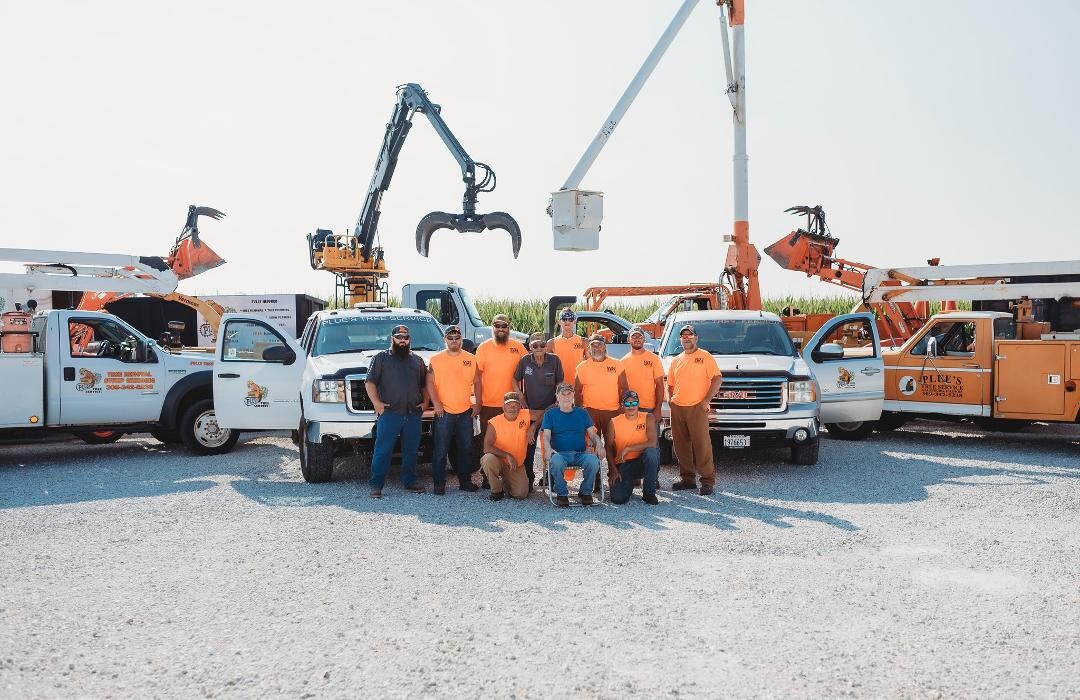 Images Plue's Tree Service