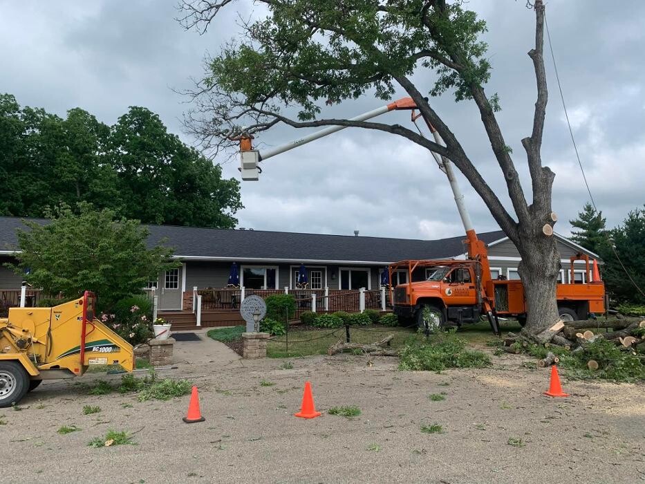 Images Plue's Tree Service