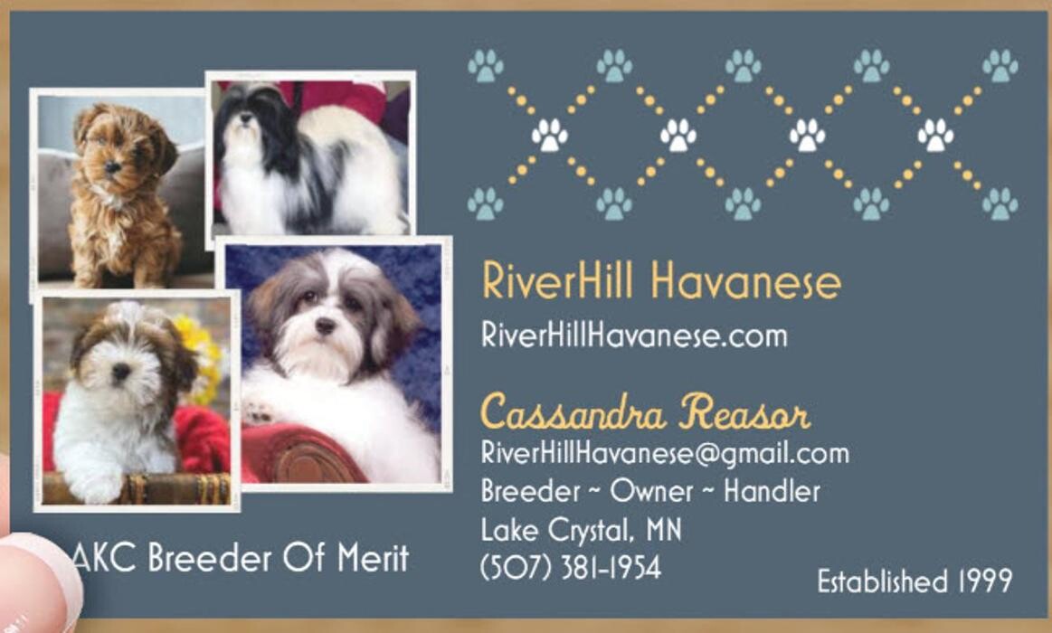 Images RiverHill Havanese