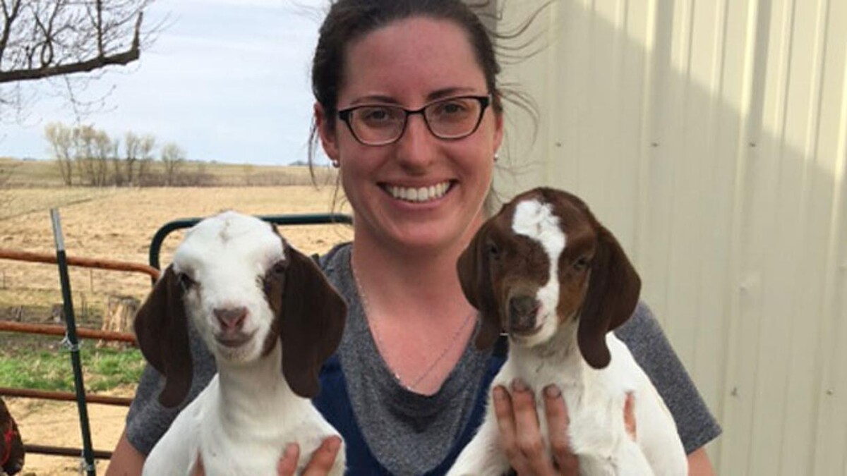 Images Marshfield Veterinary Service