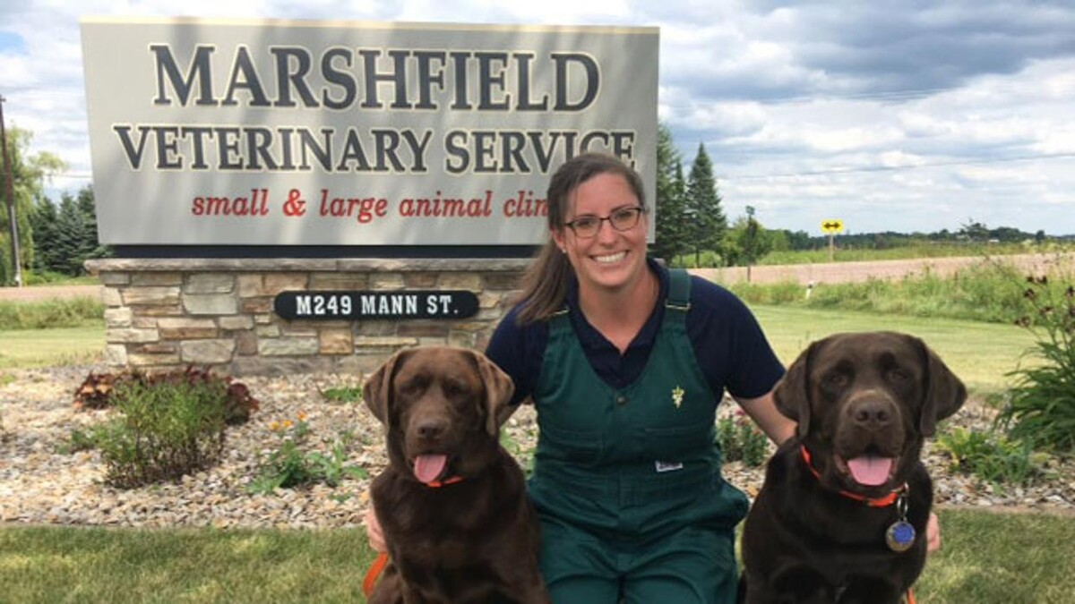 Images Marshfield Veterinary Service