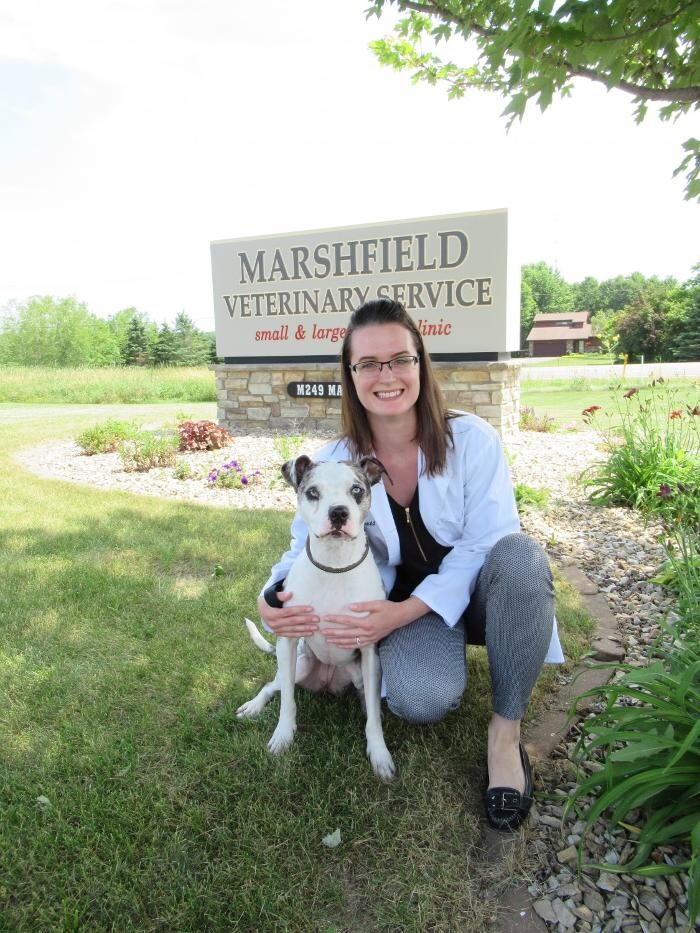 Images Marshfield Veterinary Service
