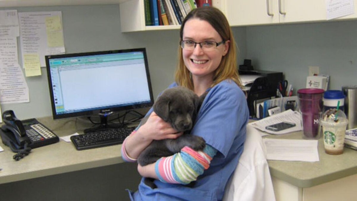 Images Marshfield Veterinary Service