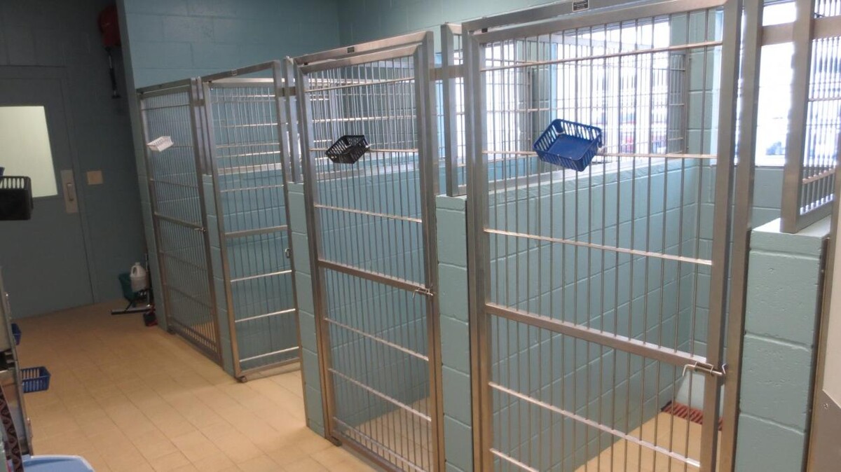 Images Marshfield Veterinary Service