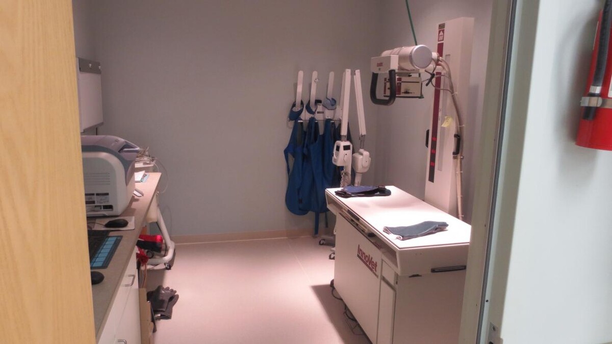 Images Marshfield Veterinary Service