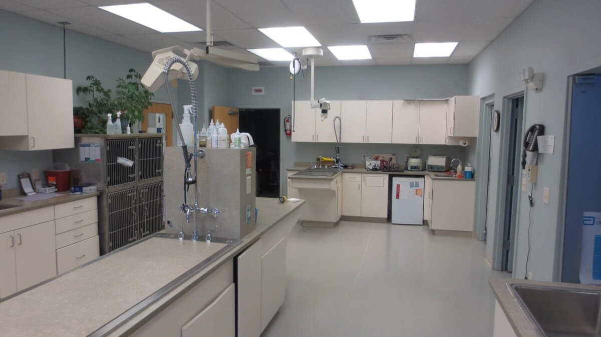 Images Marshfield Veterinary Service