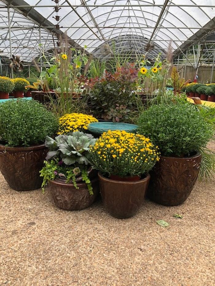 Images Horticare Landscape Companies