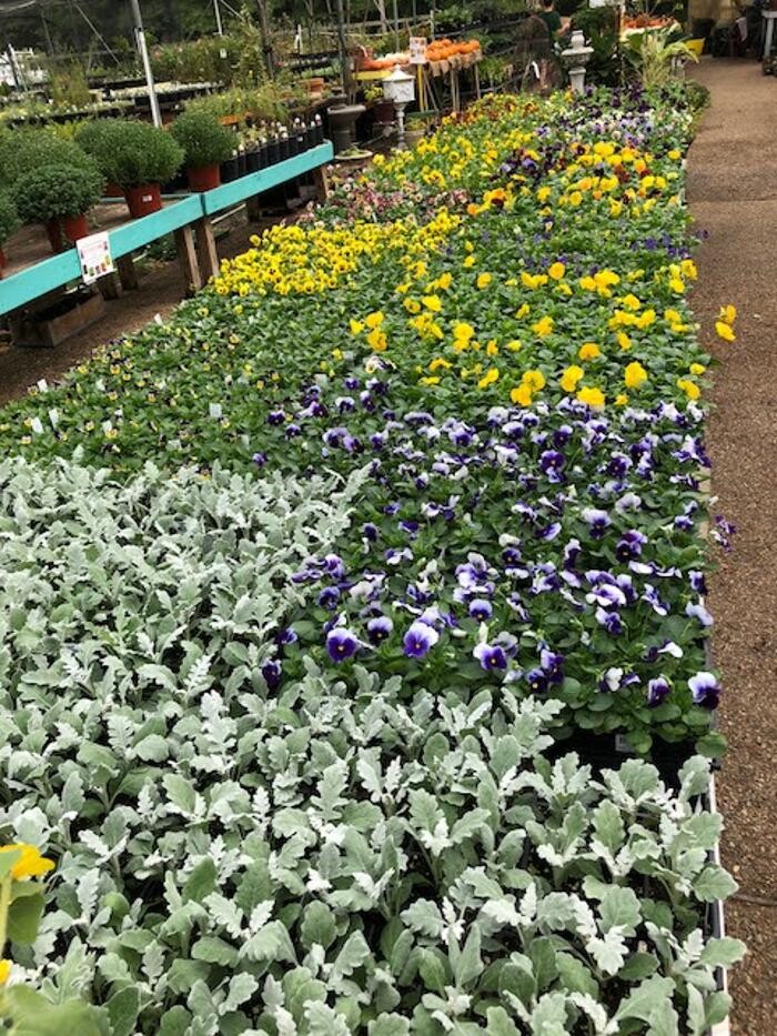 Images Horticare Landscape Companies