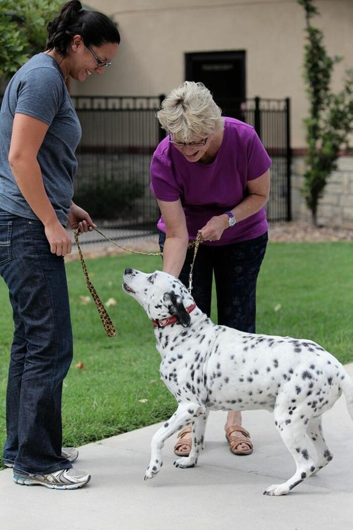 Images Chisholm Creek Pet Resort