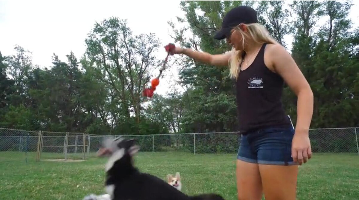 Images Chisholm Creek Pet Resort