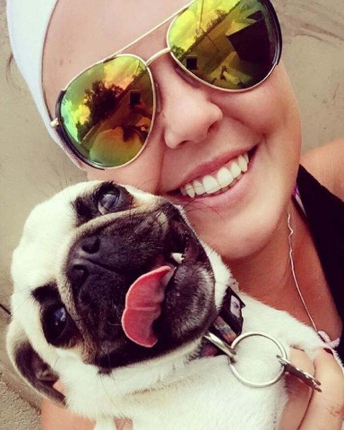 Images Chisholm Creek Pet Resort