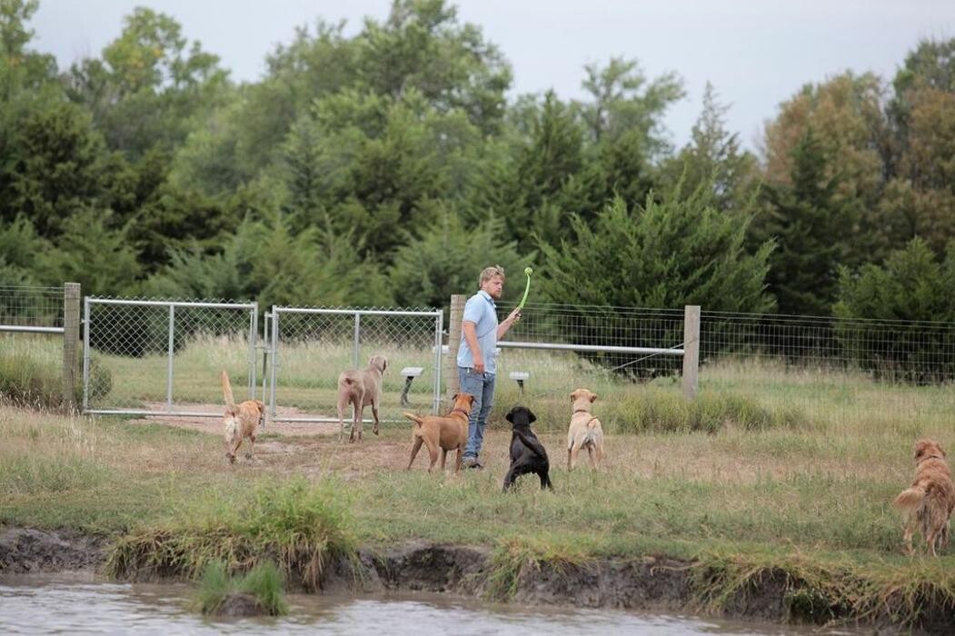 Images Chisholm Creek Pet Resort