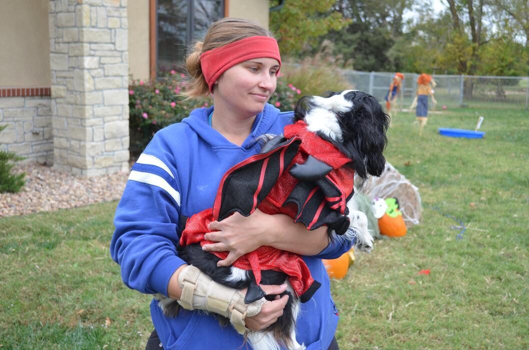 Images Chisholm Creek Pet Resort