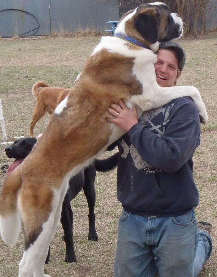 Images Chisholm Creek Pet Resort