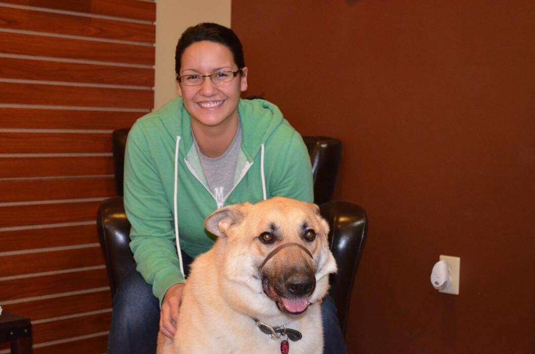 Images Chisholm Creek Pet Resort