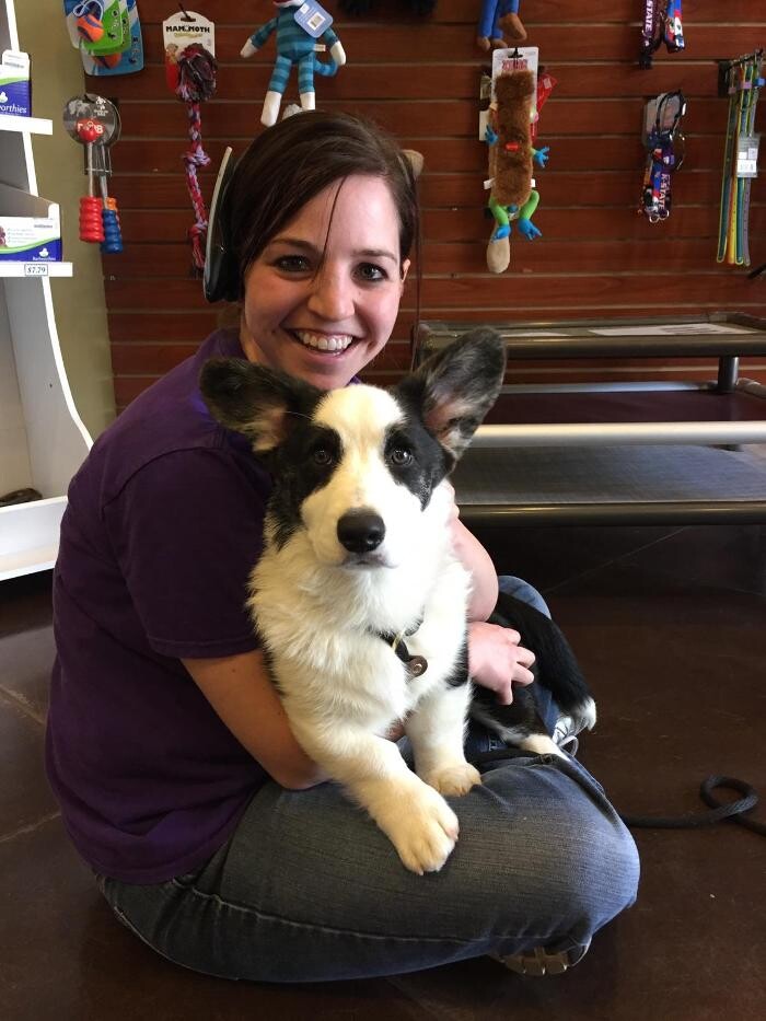 Images Chisholm Creek Pet Resort