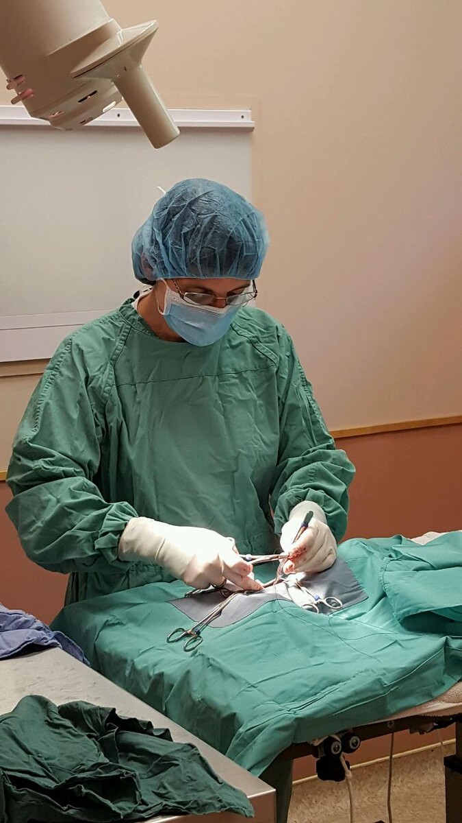 Images Raynham Veterinary Hospital, Inc.