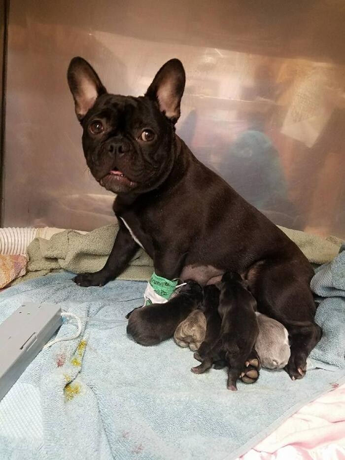 Images Raynham Veterinary Hospital, Inc.