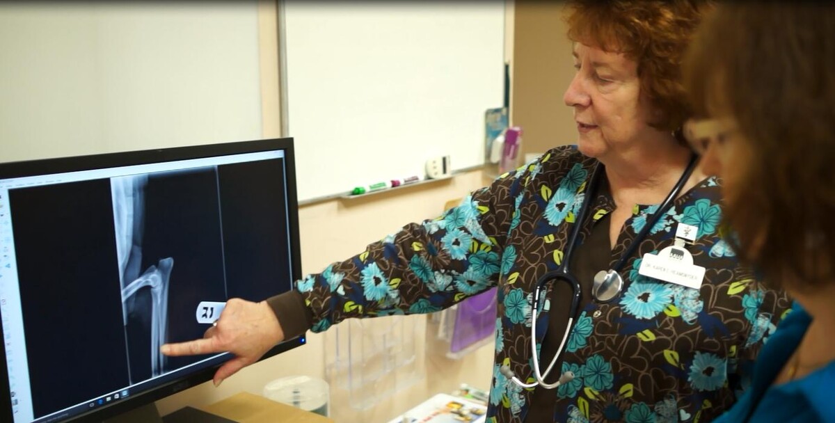 Images Raynham Veterinary Hospital, Inc.