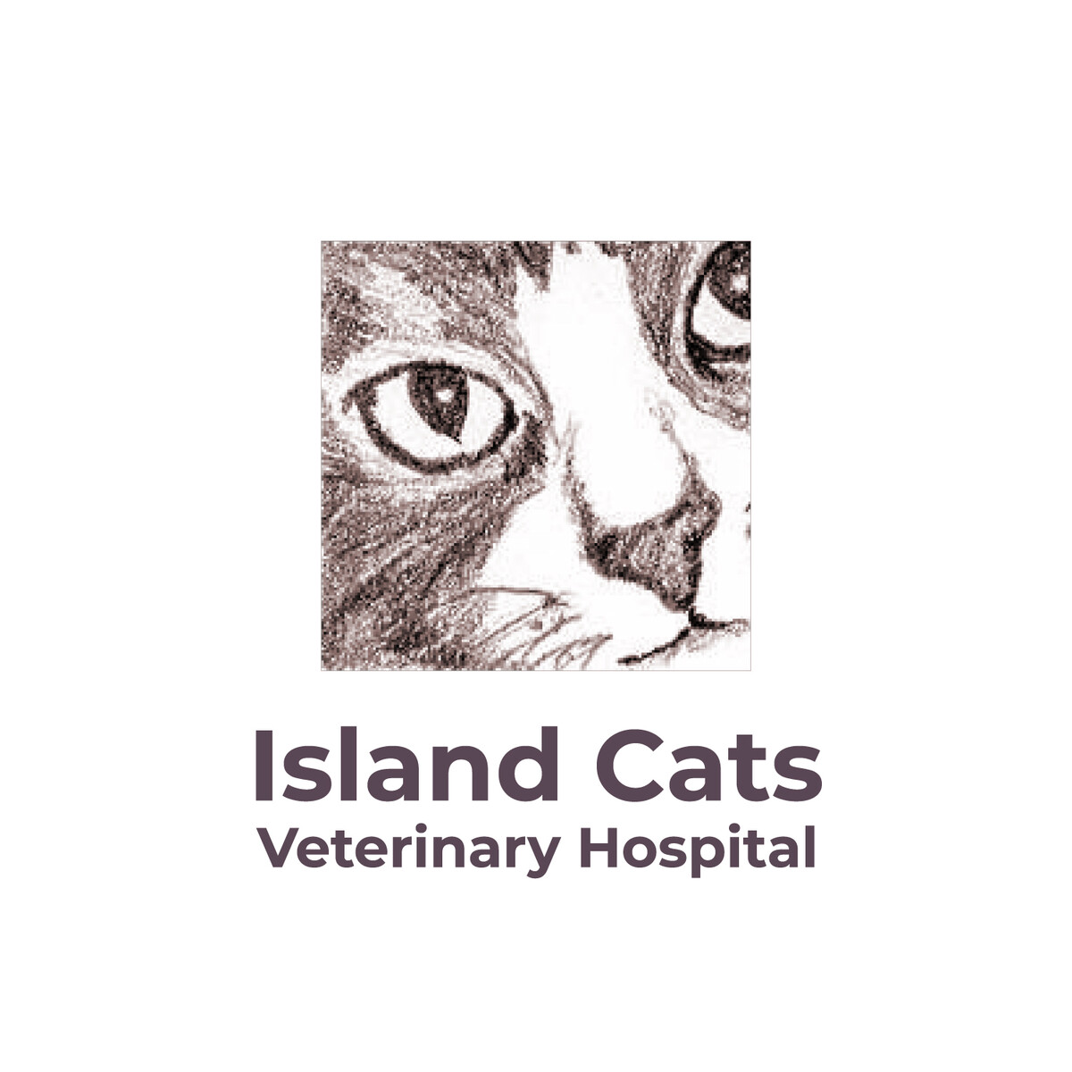 Island Cats Veterinary Hospital Logo